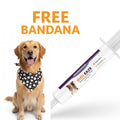 Piccardmeds4pets Digi-Eaze Probiotic Paste for Dogs Easy Dosing 30cc + FREE Bandana!
