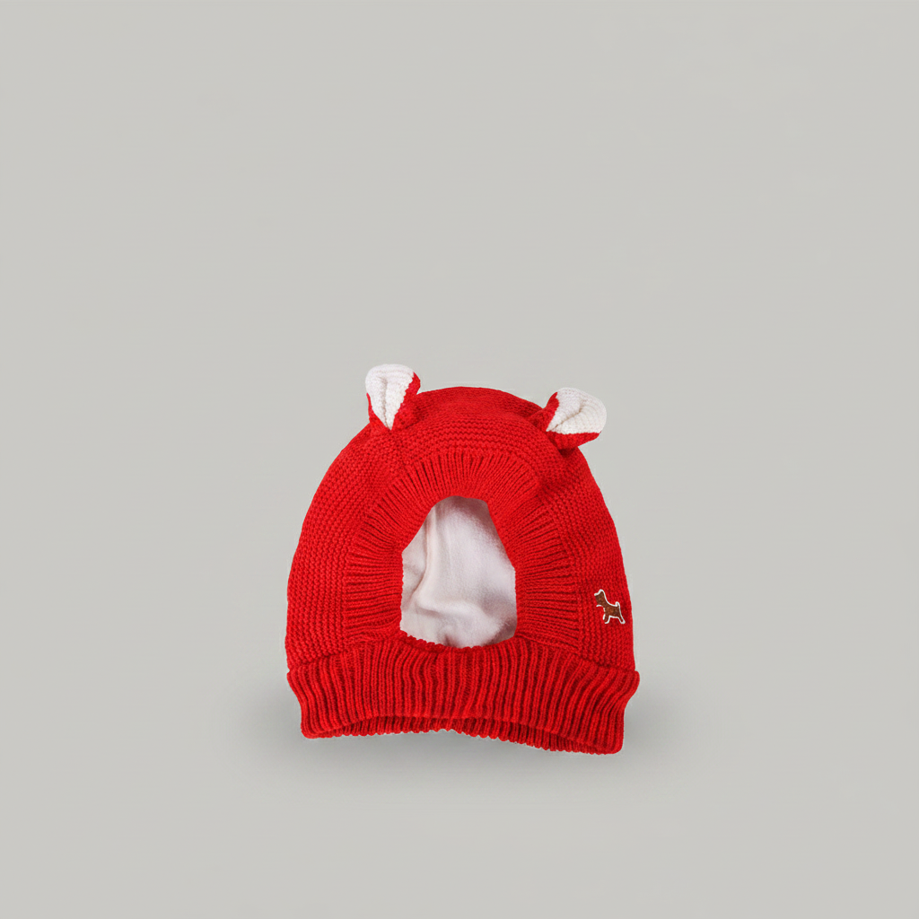 Rabbit Ear Dog Hat