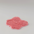 Self-Grooming & Scratching Pad for Cats