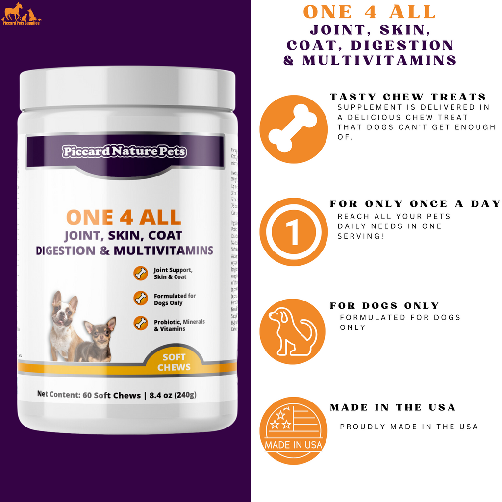 PiccardNaturePets One 4 All Dog Supplement Soft Chews 60 Count USA