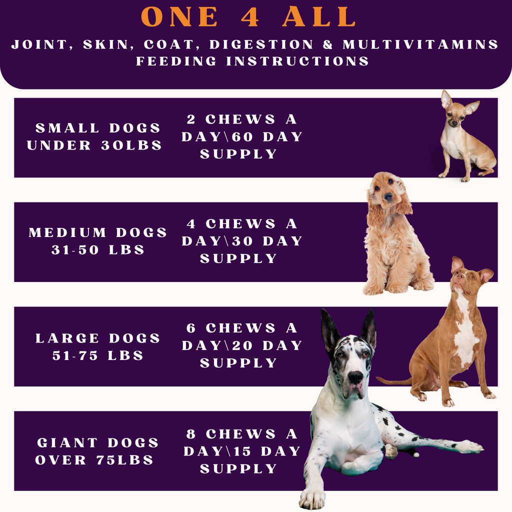 PiccardNaturePets One 4 All Dog Supplement 120 Count Soft Chews