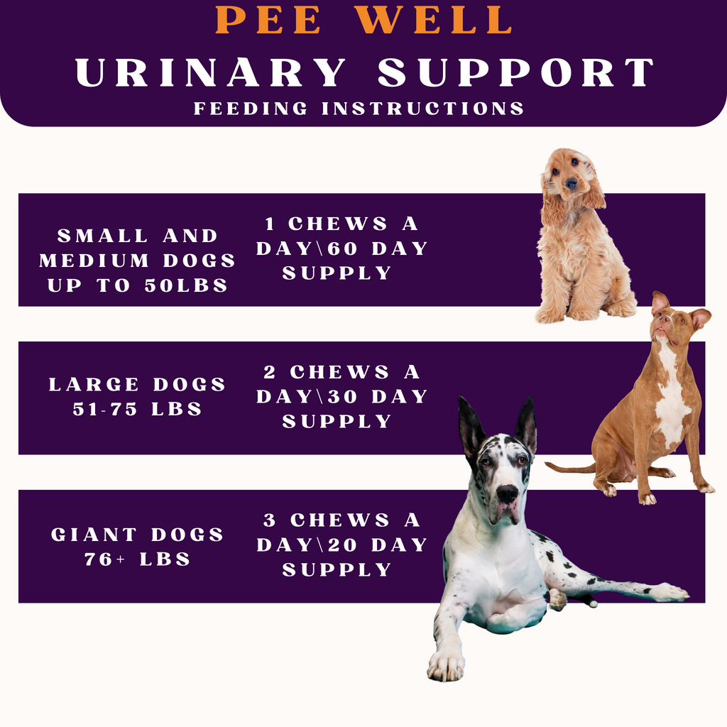 PiccardNaturePets Pee-Well Urinary Bladder Support Soft Chews for Dogs 60 Count