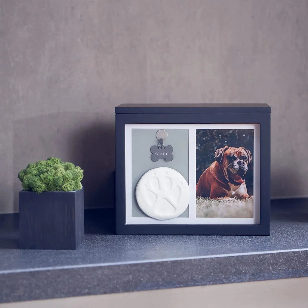 Pet Memorial Urn Keepsake Box – Paw Print Kit & Photo Album