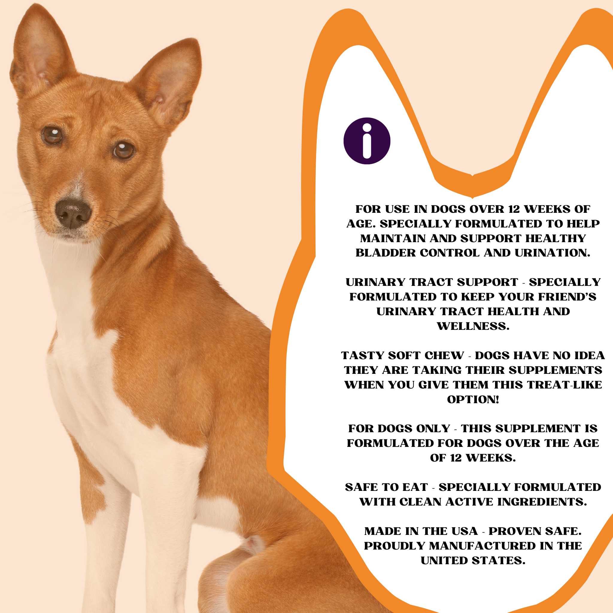 PiccardNaturePets Pee-Well Urinary Bladder Support Soft Chews for Dogs 60 Count