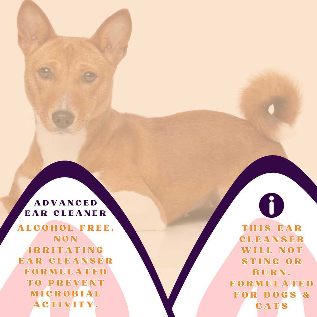 Piccardmeds4pets Advanced Ear Cleanser Alcohol Free for Dogs and Cats 8 oz. + FREE Bandana!
