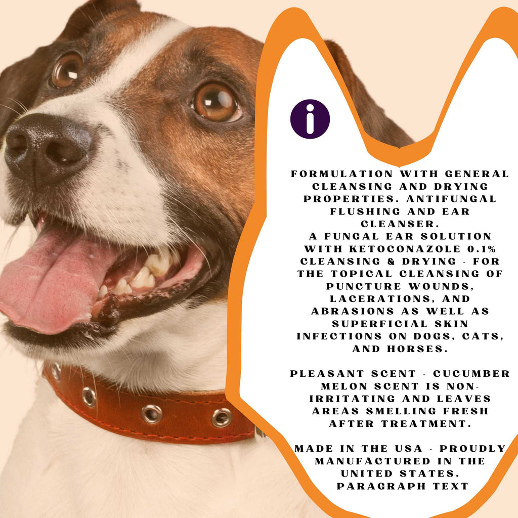 Piccardmeds4pets Keto-Itch Anti-Fungal Ear Flush for Dogs & Cats 12 oz. + FREE Bandana!