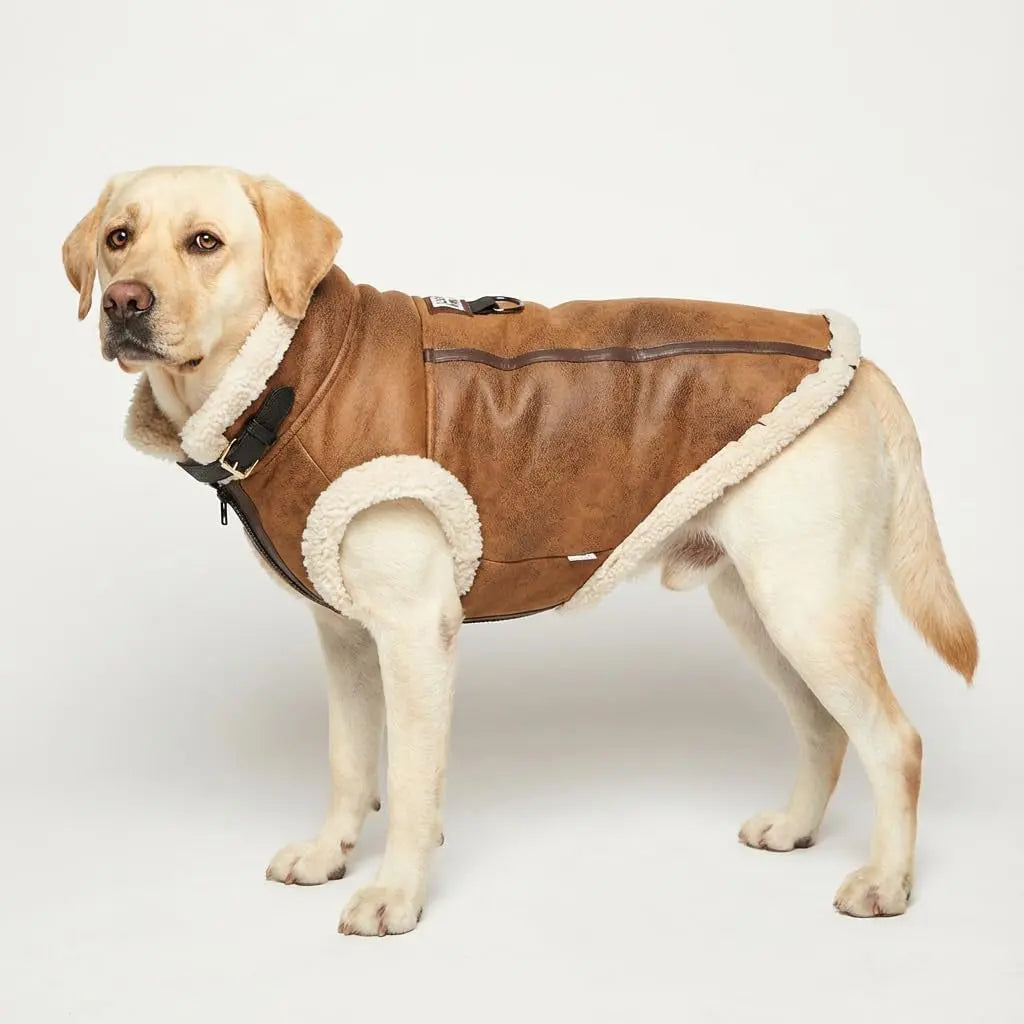 Retro Aviator Dog Jacket – Faux Leather Sherpa Coat