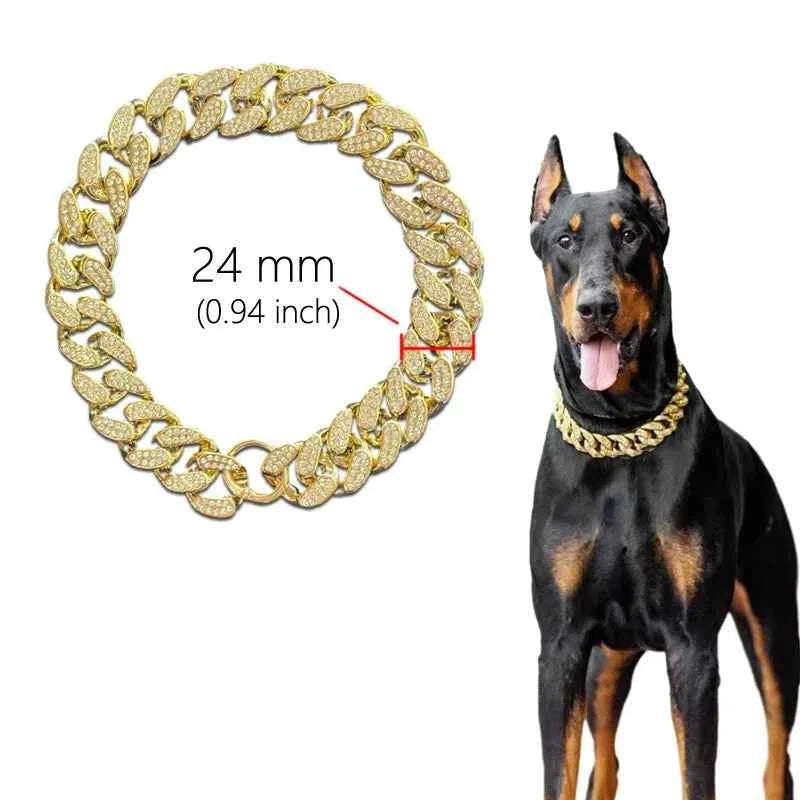 Dog Chain Collar for Your Confident Pet | Stylish & Strong
