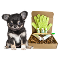 4-FURRY DOGS *SENSITIVE GROOMING KIT