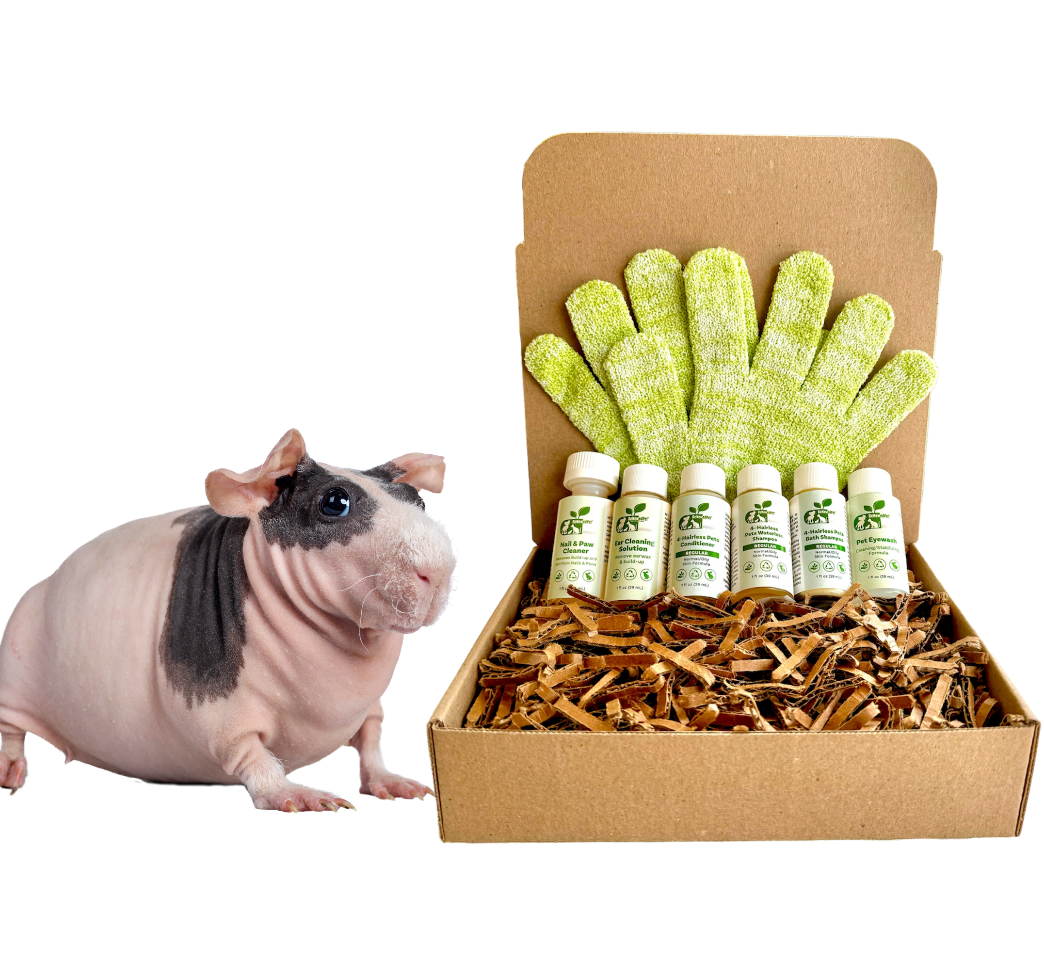 4-HAIRLESS PETS *SKINNYPIG REGULAR KIT