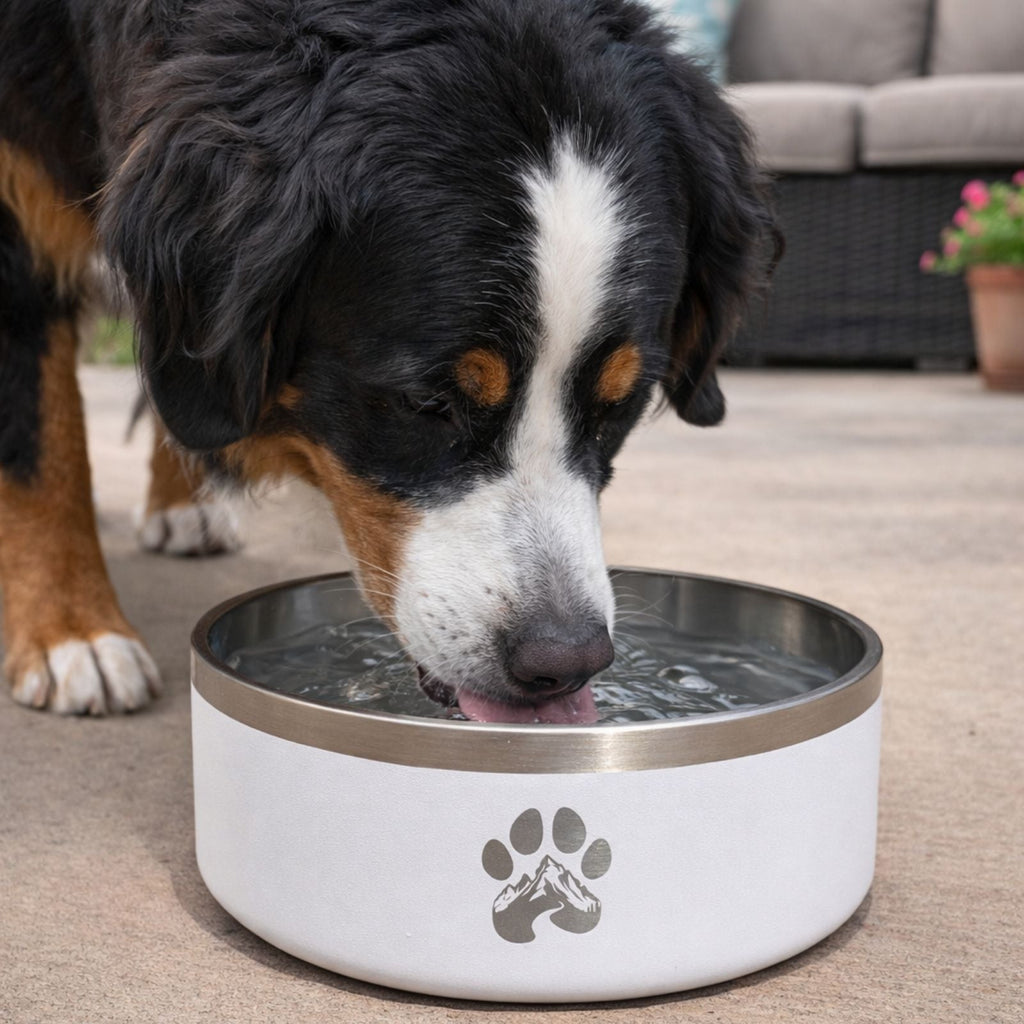 Stainless Steel Non-Slip Dog Bowl