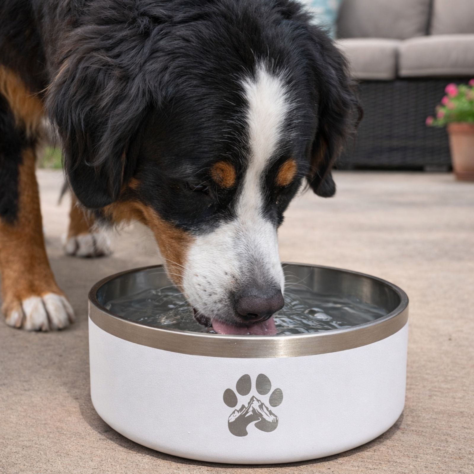 Stainless Steel Non-Slip Dog Bowl