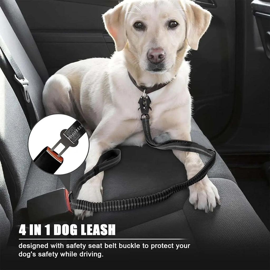 Reflective Shock Absorbing Bungee Dog Leash with Seatbelt Clip