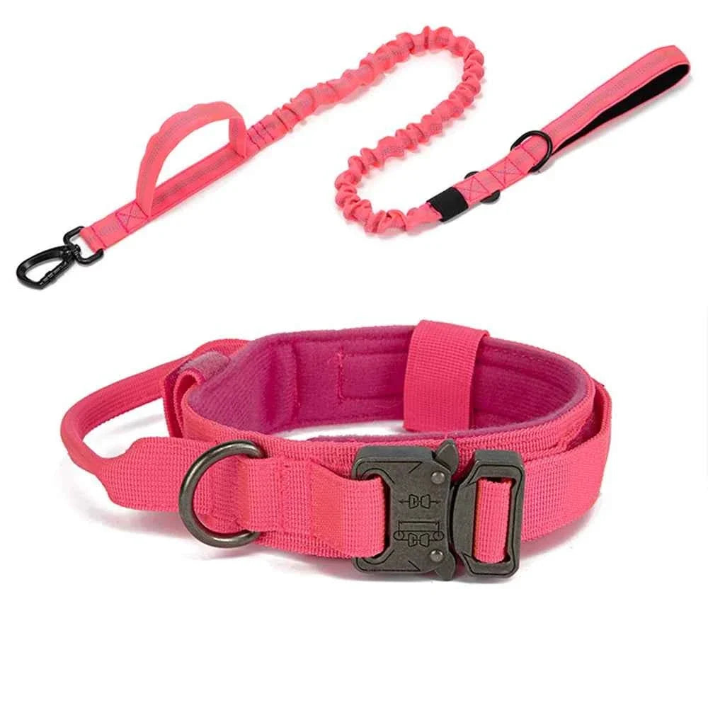 Durable Nylon Dog Collar with Reflective Leash Set