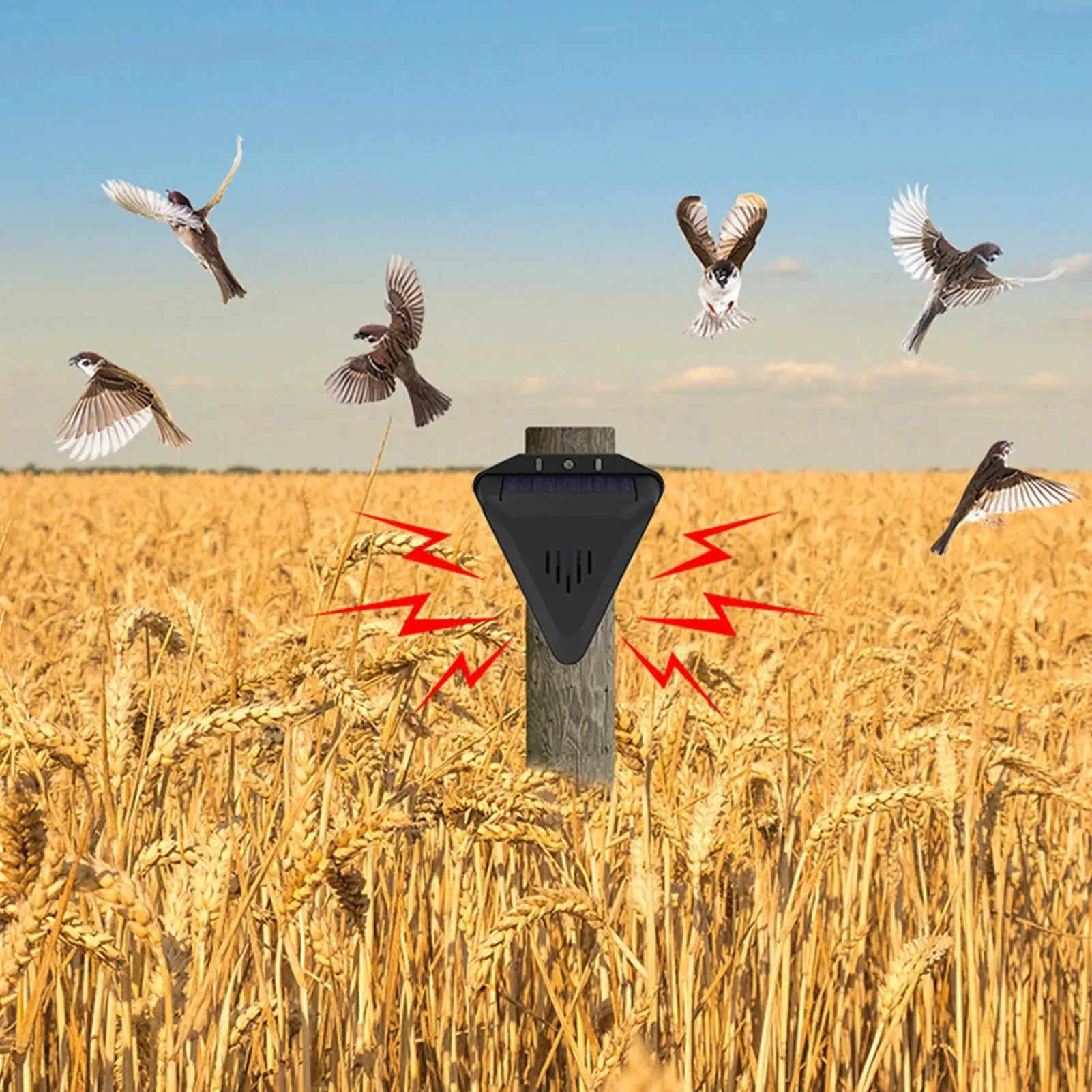 Waterproof Solar bird repeller timed sound and light alarm during the day Protecting crops orchard fish field to repel pigeons
