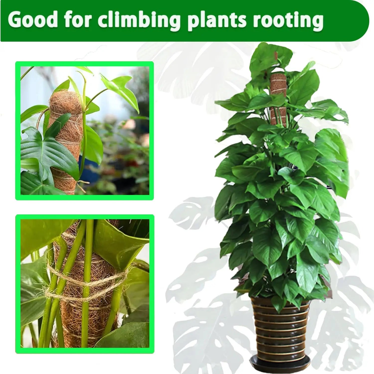 Moss Pole 38/43/53CM Monstera Plant Support Stackable Moss Poles for Plants Coir Totem Pole Tall Moss Pole for Climbing Plants