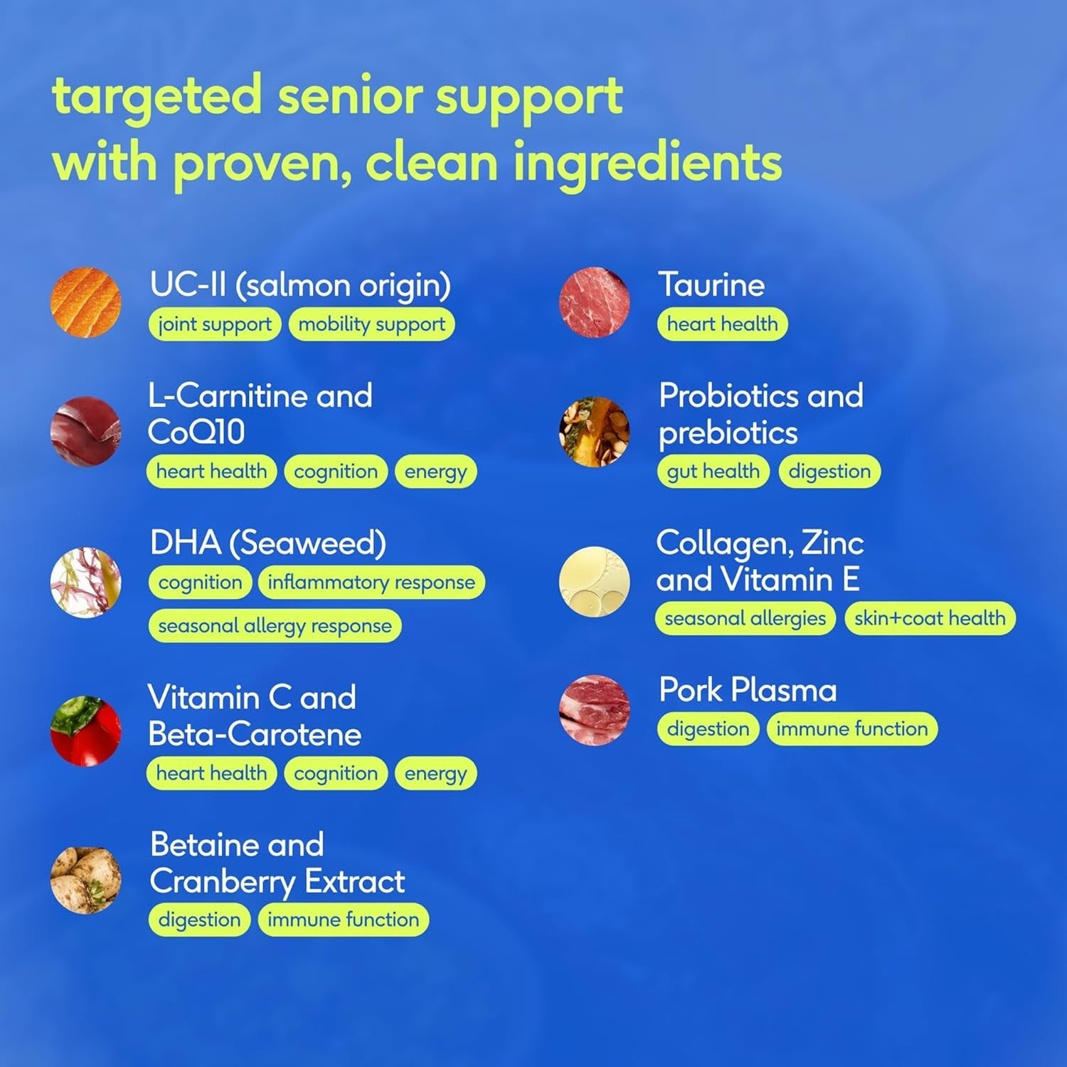 Senior Dog Multivitamin Powder 12-in-1 Joint Brain Digestion Immune 30 Scoops
