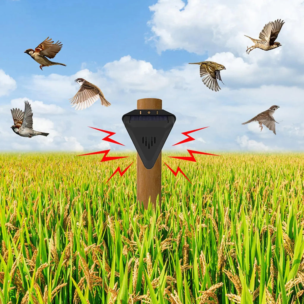 Waterproof Solar bird repeller timed sound and light alarm during the day Protecting crops orchard fish field to repel pigeons