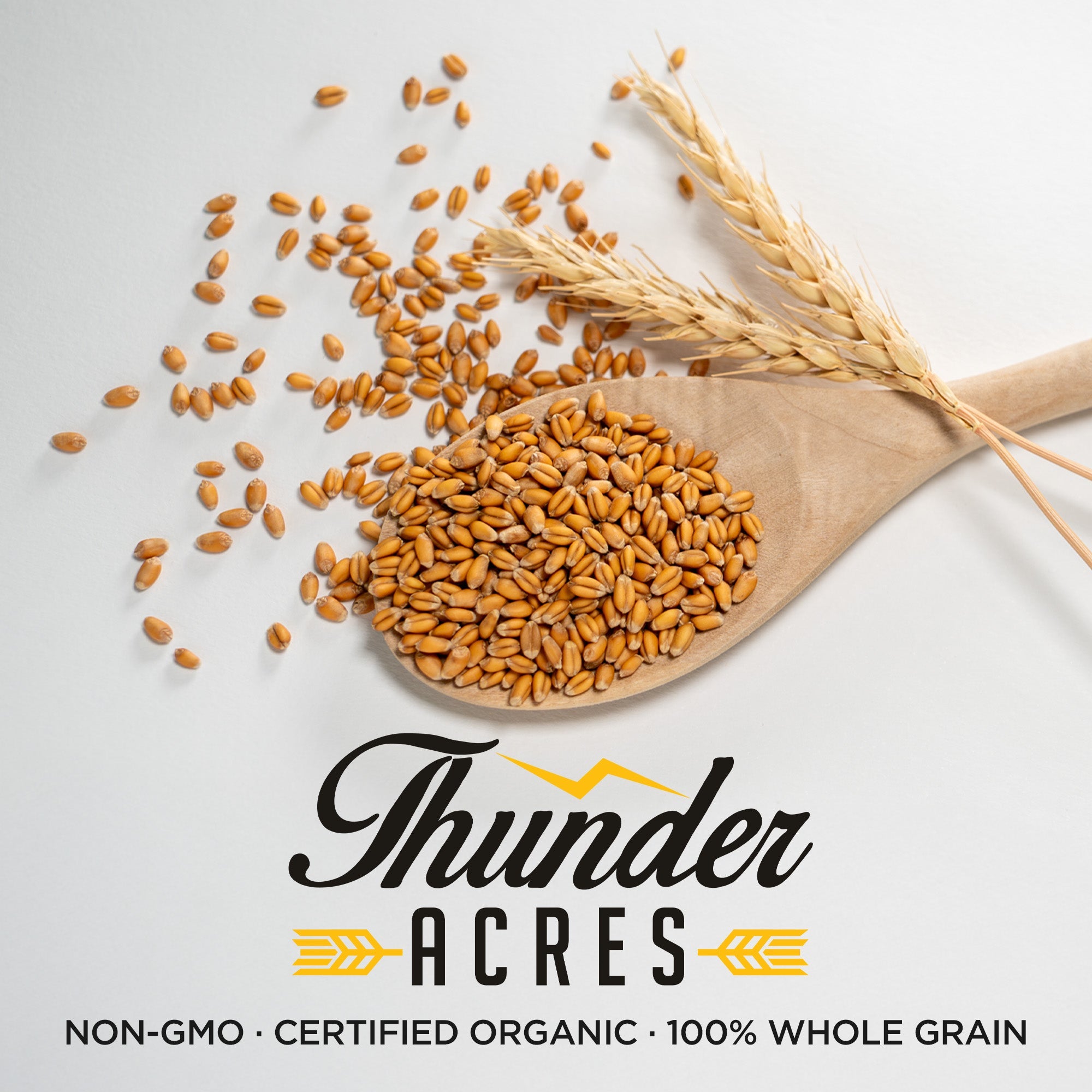 Soft Red Winter Wheat Seed, Organic, Glyphosate Free, Non GMO