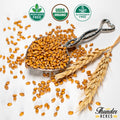 Soft Red Winter Wheat Seed, Organic, Glyphosate Free, Non GMO