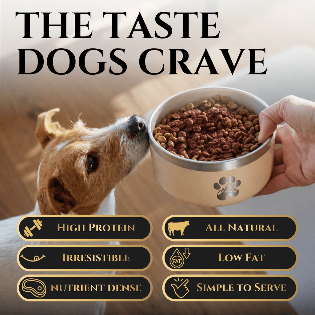 Freeze-Dried Beef Blood | Meal Topper