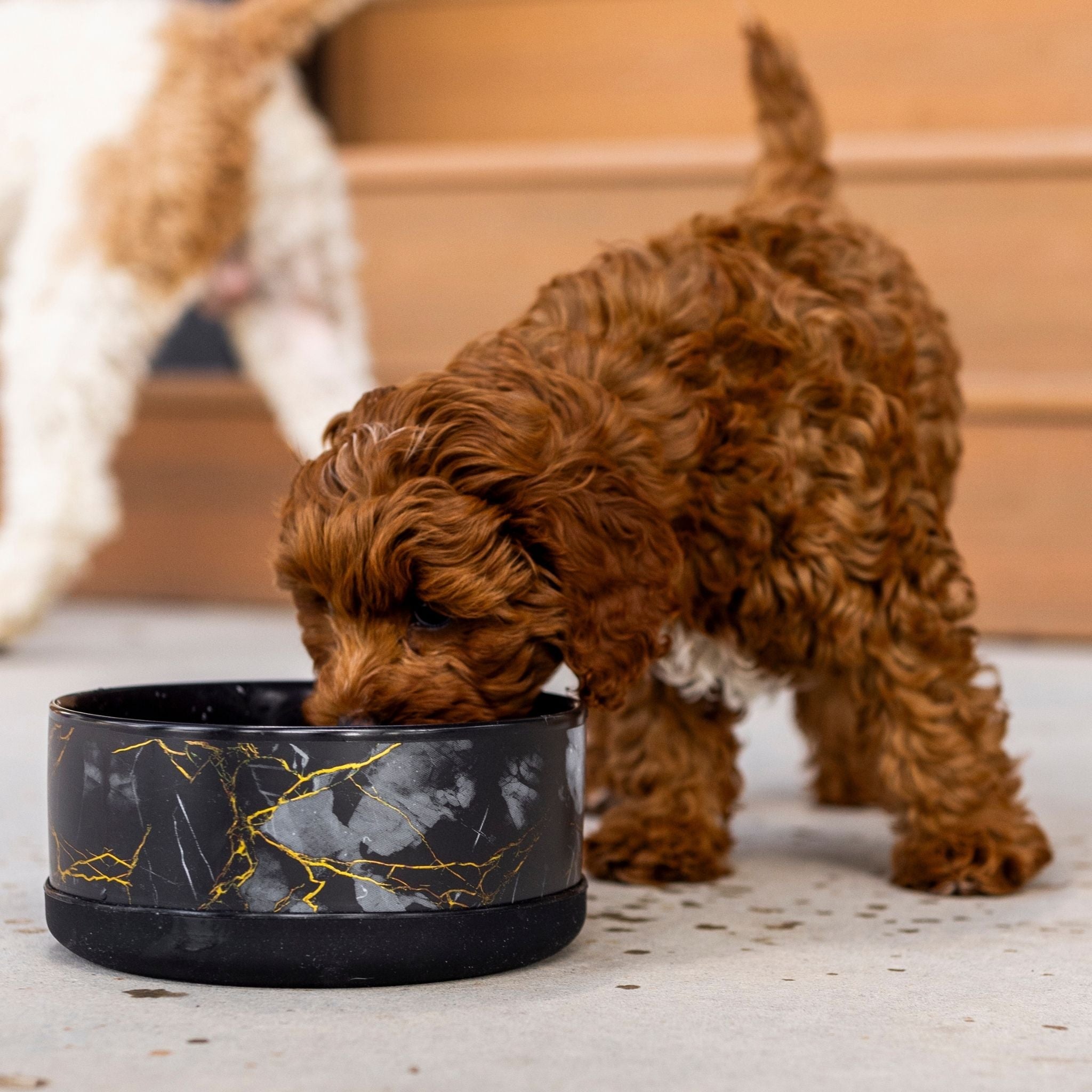 Limited Edition Black & Gold Marble Ceramic Dog Bowl