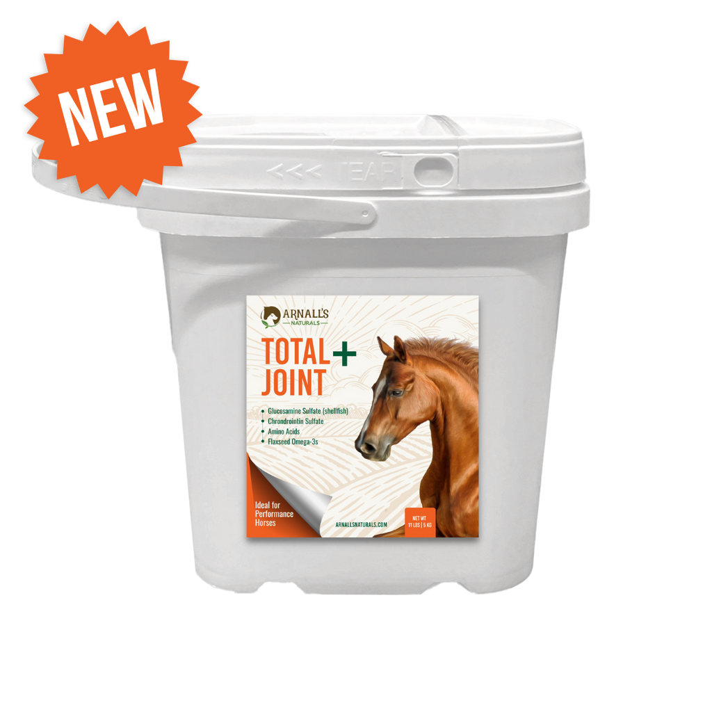 Total Plus: Total + Joint