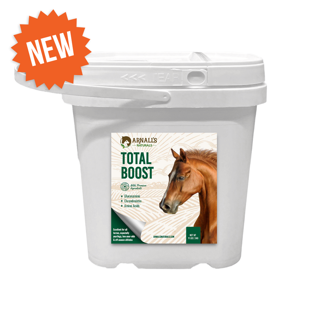 Total Boost: Total Wellness and Maintenance Boost