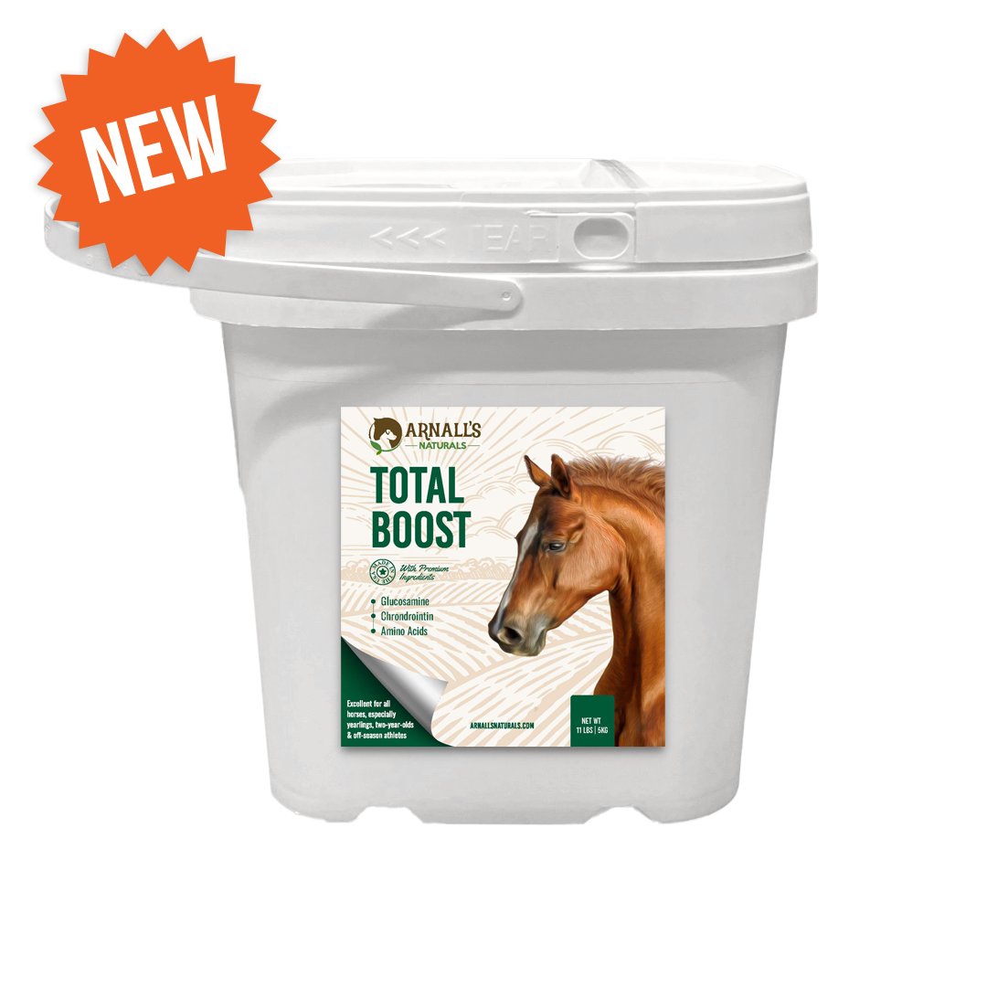 Total Boost: Total Wellness and Maintenance Boost