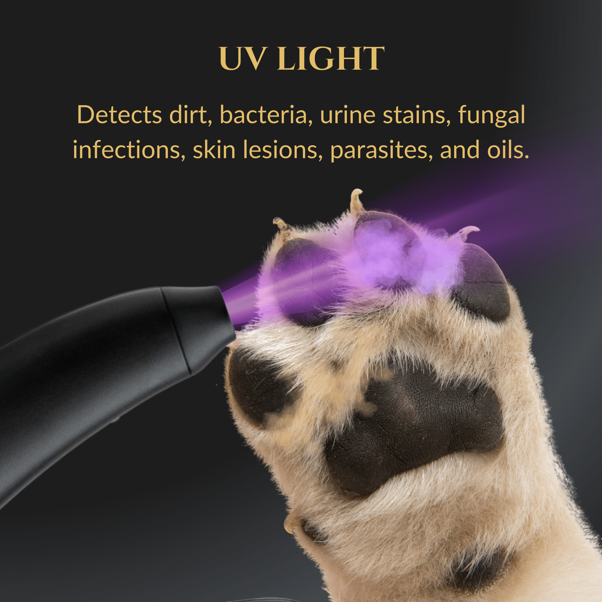 3-in-1 LED Light Dog Nail Clippers
