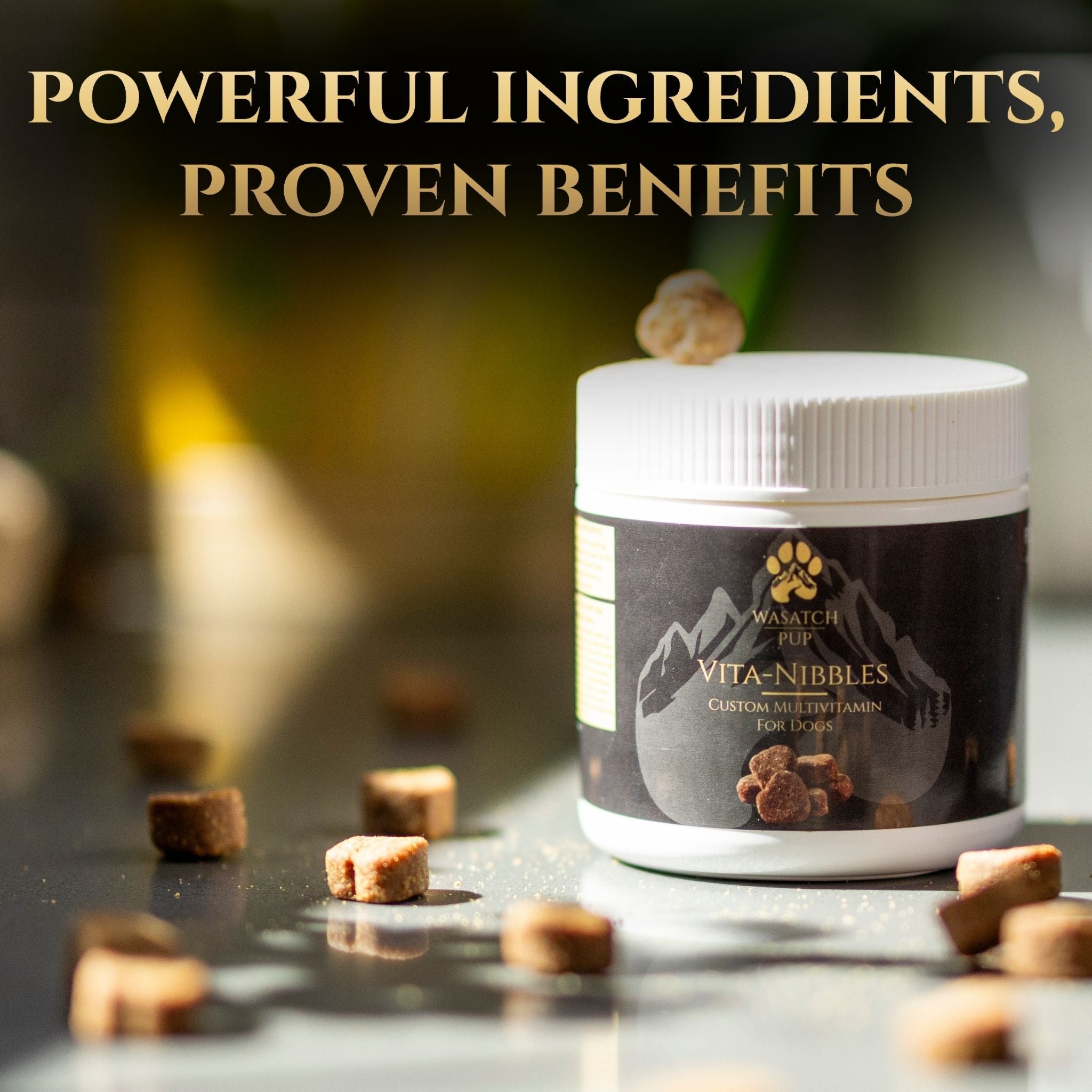 Vita Nibbles Dog Multivitamins