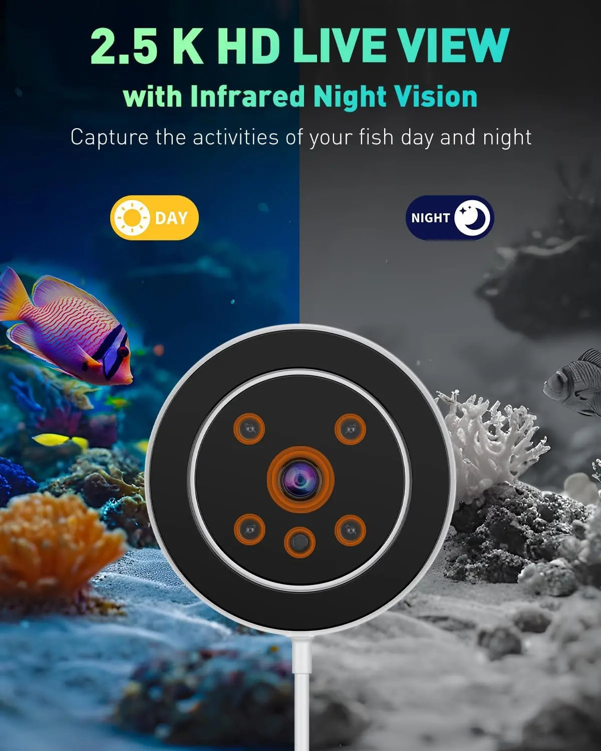 WiFi Automatic Fish Feeder with Camera – App Control, Moisture-Proof, 230ml