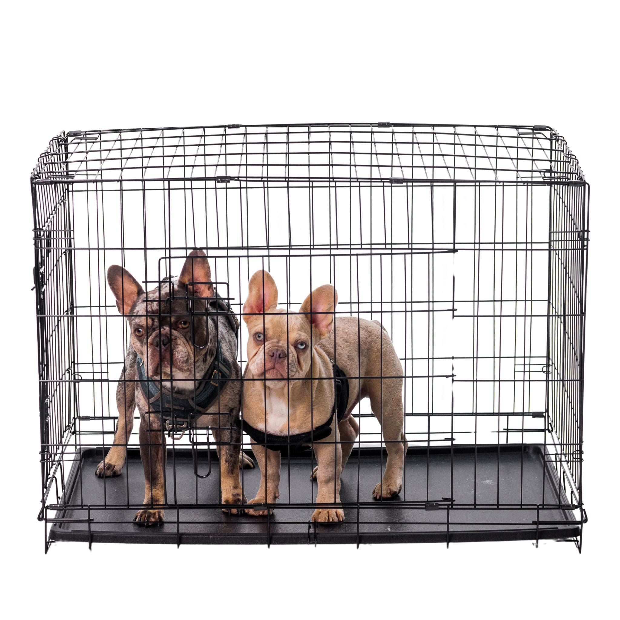 Classic Double-Door Wire Dog Kennel