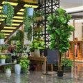 6-Feet Artificial Indoor-Outdoor Home Decorative Planter