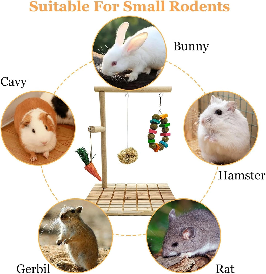 Rabbit Chew Toys Scratch Board Bunny Teeth Grinding Toy Set Small Pet