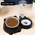 Pet 2-in-1 Water And Food Dispenser