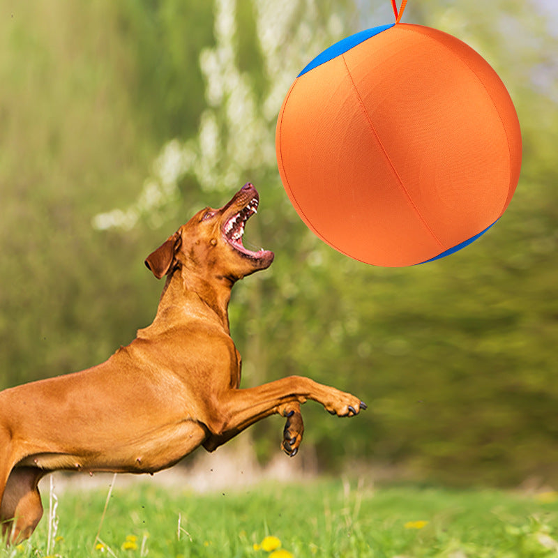 Giant Dog Ball Toy