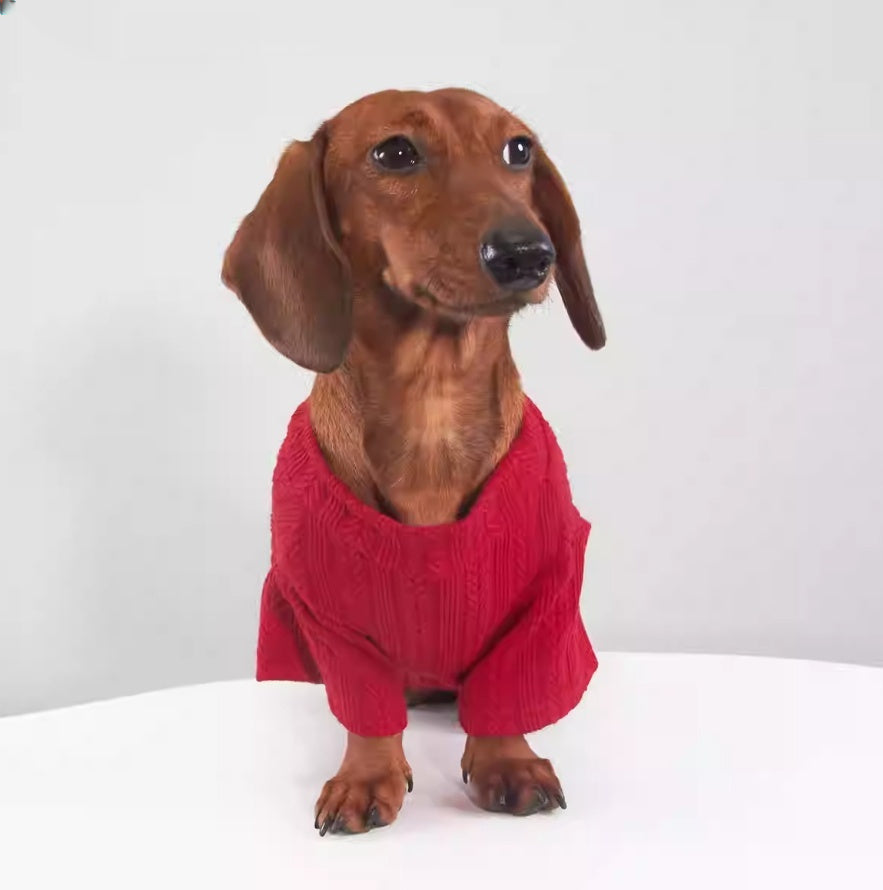 Stretch Base Layer For Dogs And Cats In Autumn And Winter