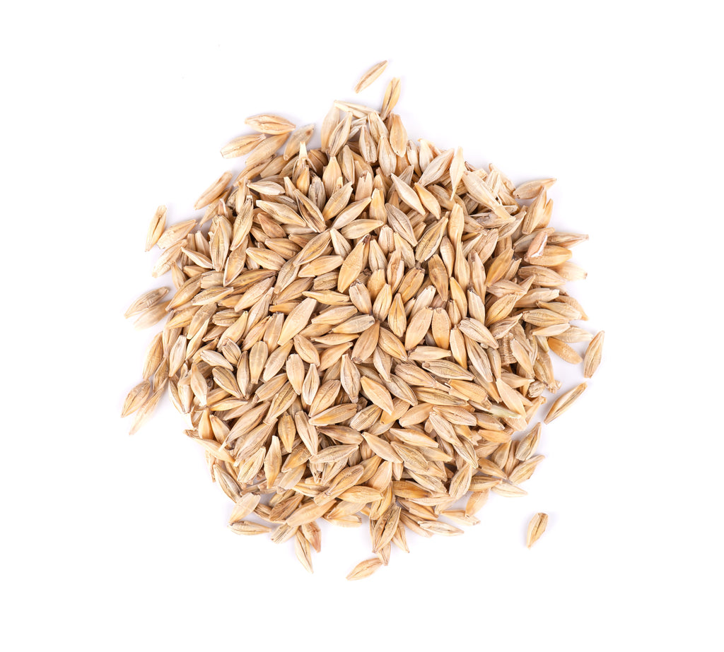 Thunder Acres Barley Seed - Certified Organic - Non-GMO - Glyphosate Free