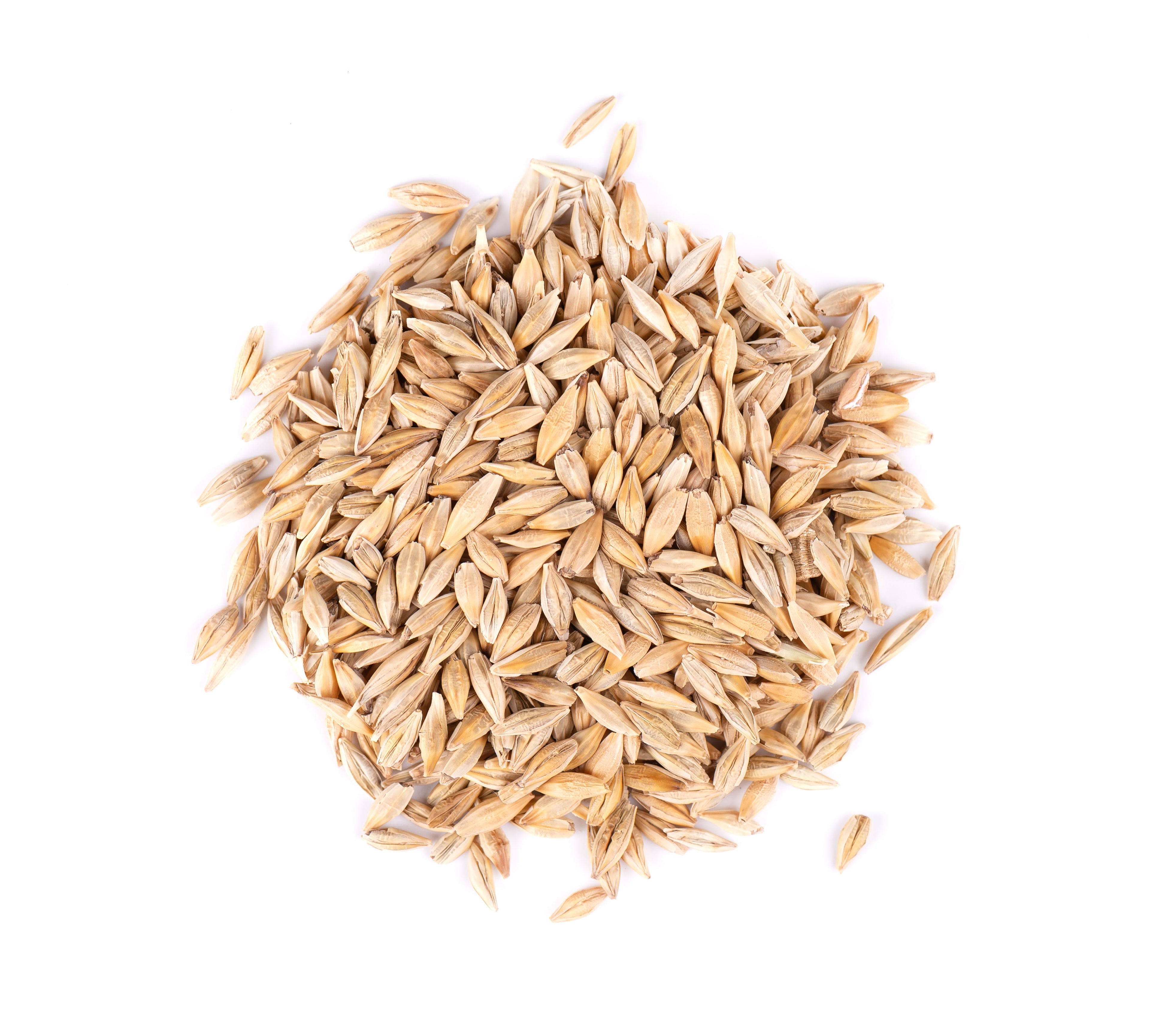 Thunder Acres Barley Seed - Certified Organic - Non-GMO - Glyphosate Free