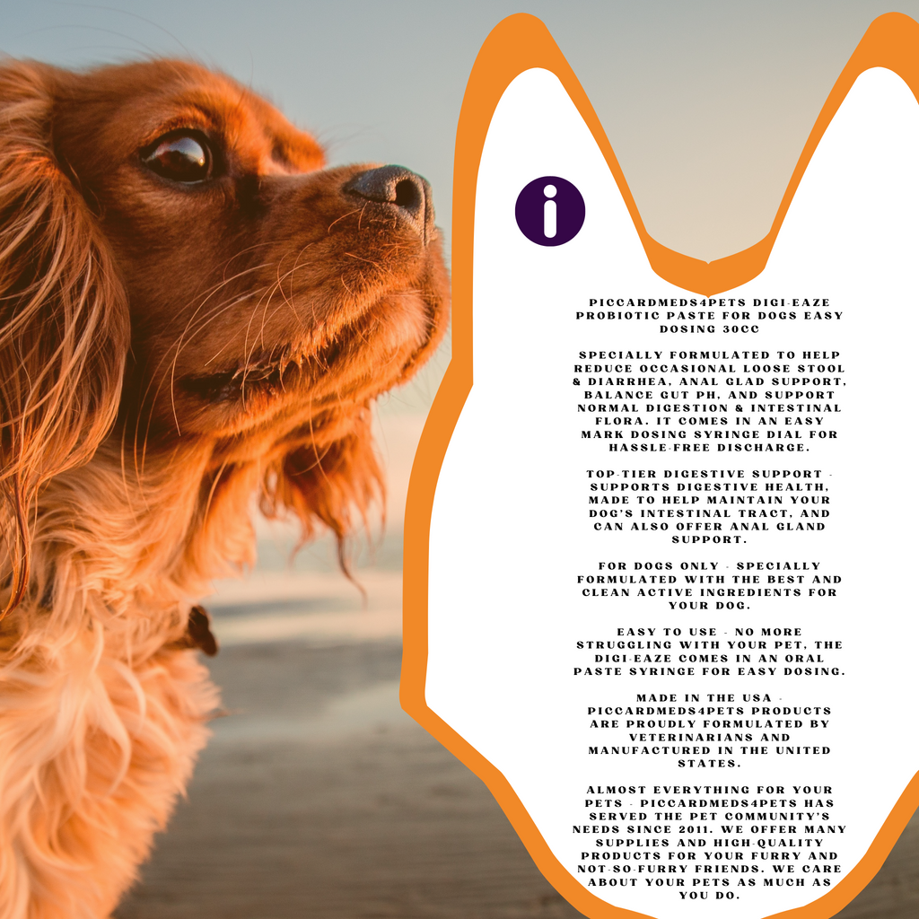Piccardmeds4pets Digi-Eaze Probiotic Paste for Dogs Easy Dosing 30cc + FREE Bandana!