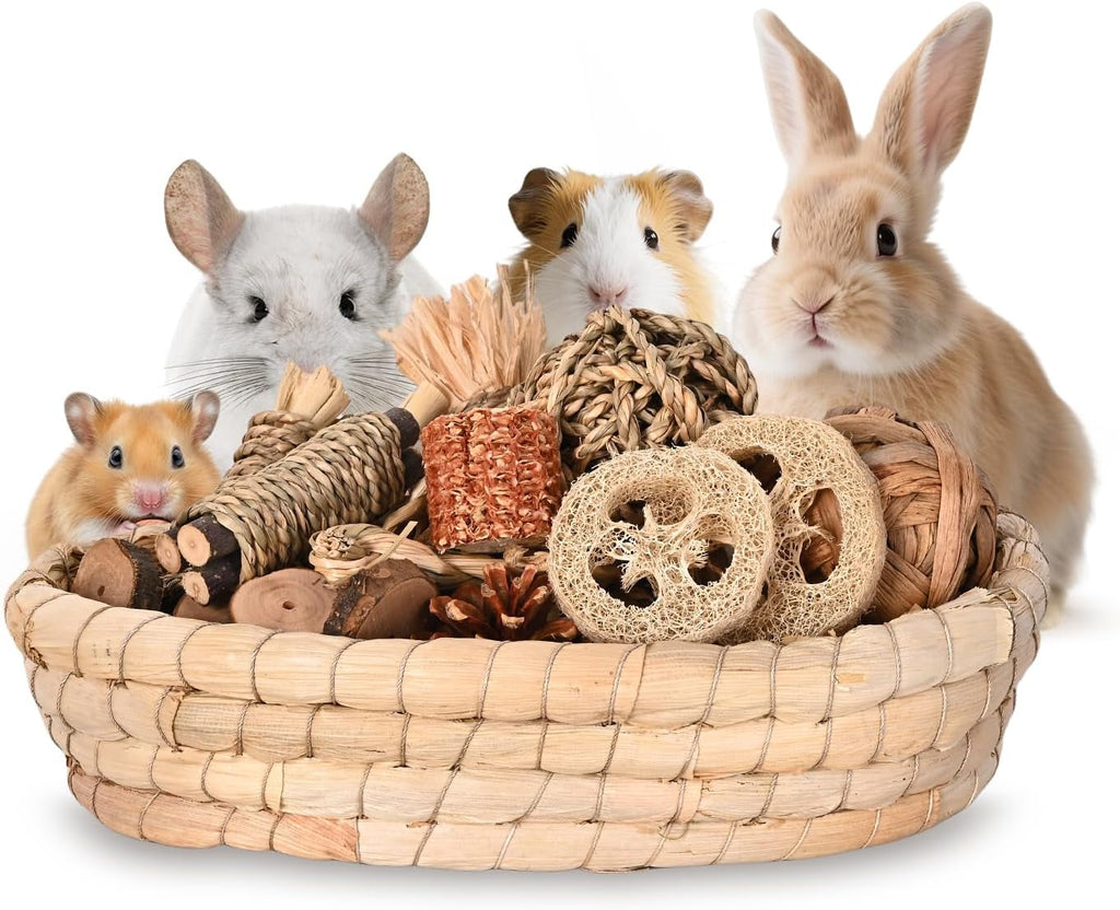 31PCS Natural Rabbit Chew Toys Set for Small Pets Dental Care