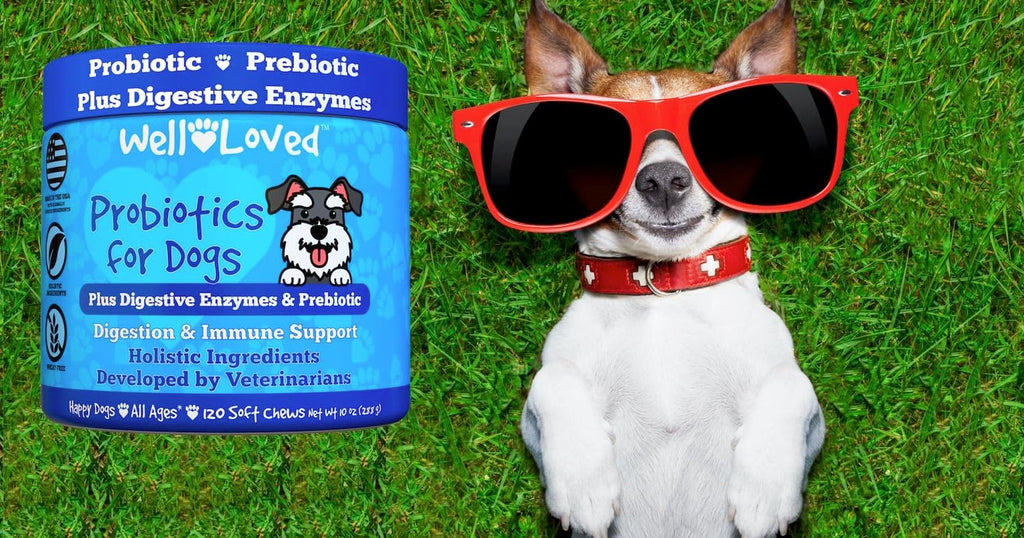 Well Loved Probiotics for Dogs with Prebiotics & Digestive Enzymes