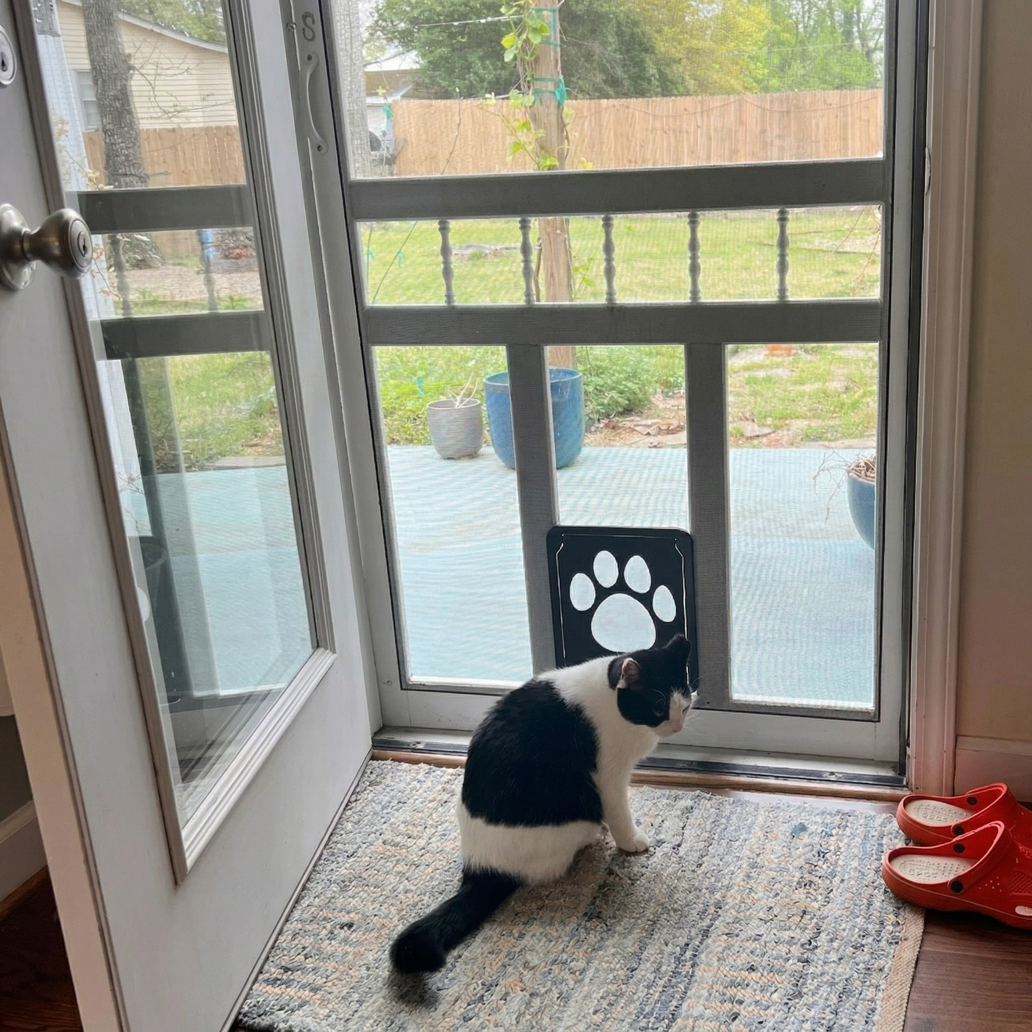 Pet Screen Door