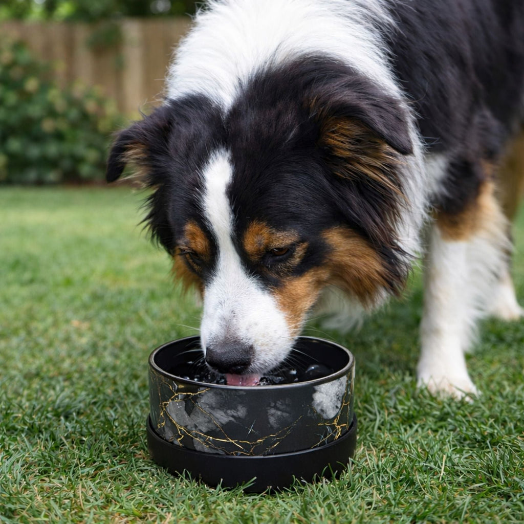 Limited Edition Black & Gold Marble Ceramic Dog Bowl