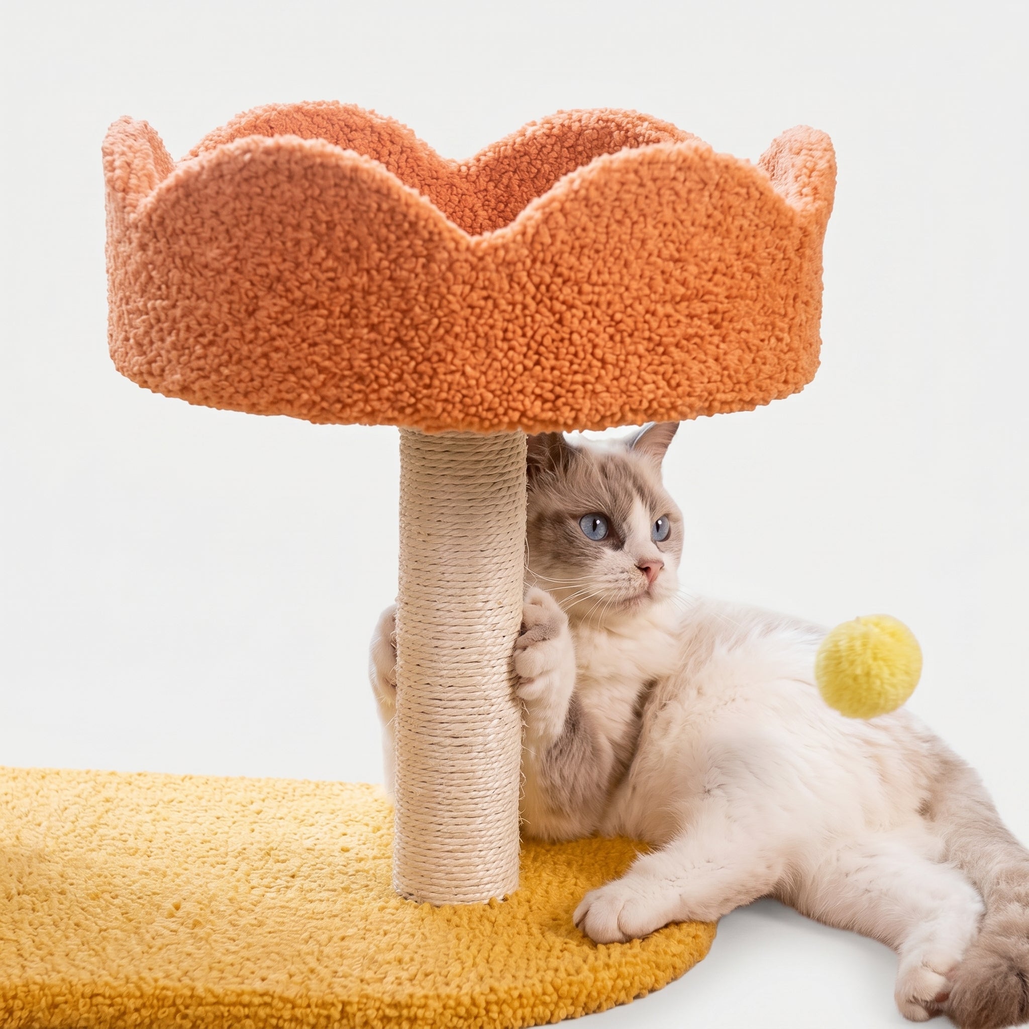 Compact Cat Perch Station