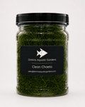 Clean Chaeto Infused with Live Copepods & Amphipods