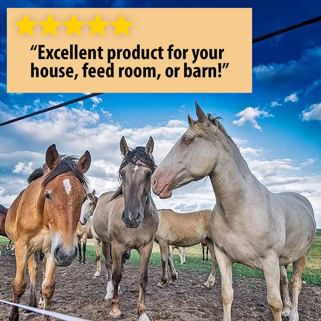 Country Vet Metered Insect Control & Fly Spray