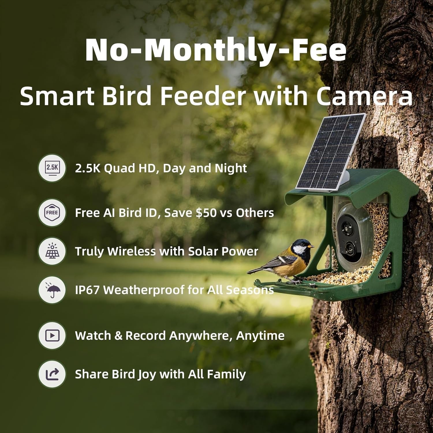 Bird Feeder Camera Solar WiFi 4MP 2.5K AI Motion Detection No Fee