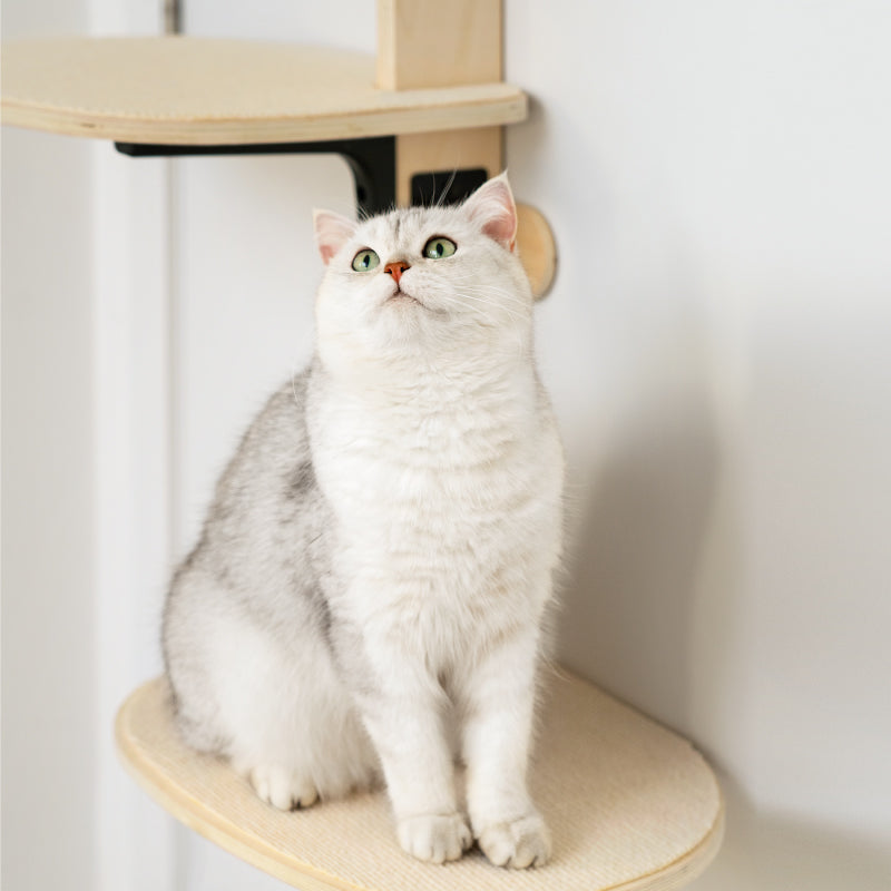 Door Hanging Bed Comfort Eco-Friendly Pine Wood Stable Durable Scratch Board Pet Climbing Frame